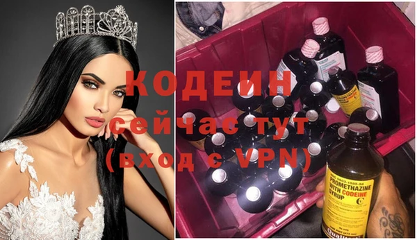 спиды Гусев