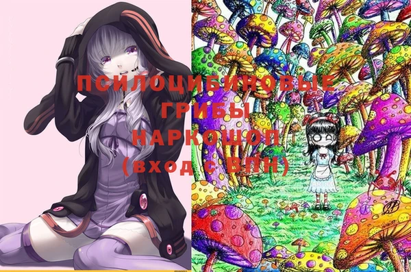меф Гусиноозёрск