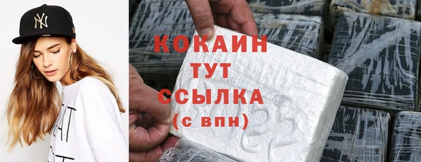 спиды Гусев
