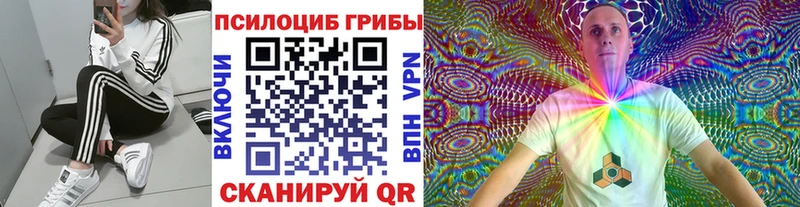 Купить Омутнинск Псилоцибиновые грибы Psilocybine cubensis
